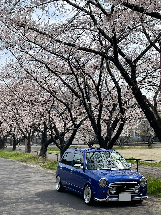 の投稿画像7枚目