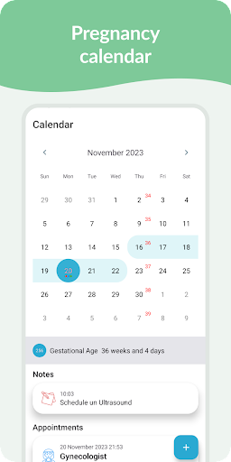 Screenshot Pregnancy Tracker & Day by Day
