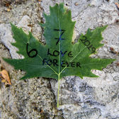 Fotoğraf 32