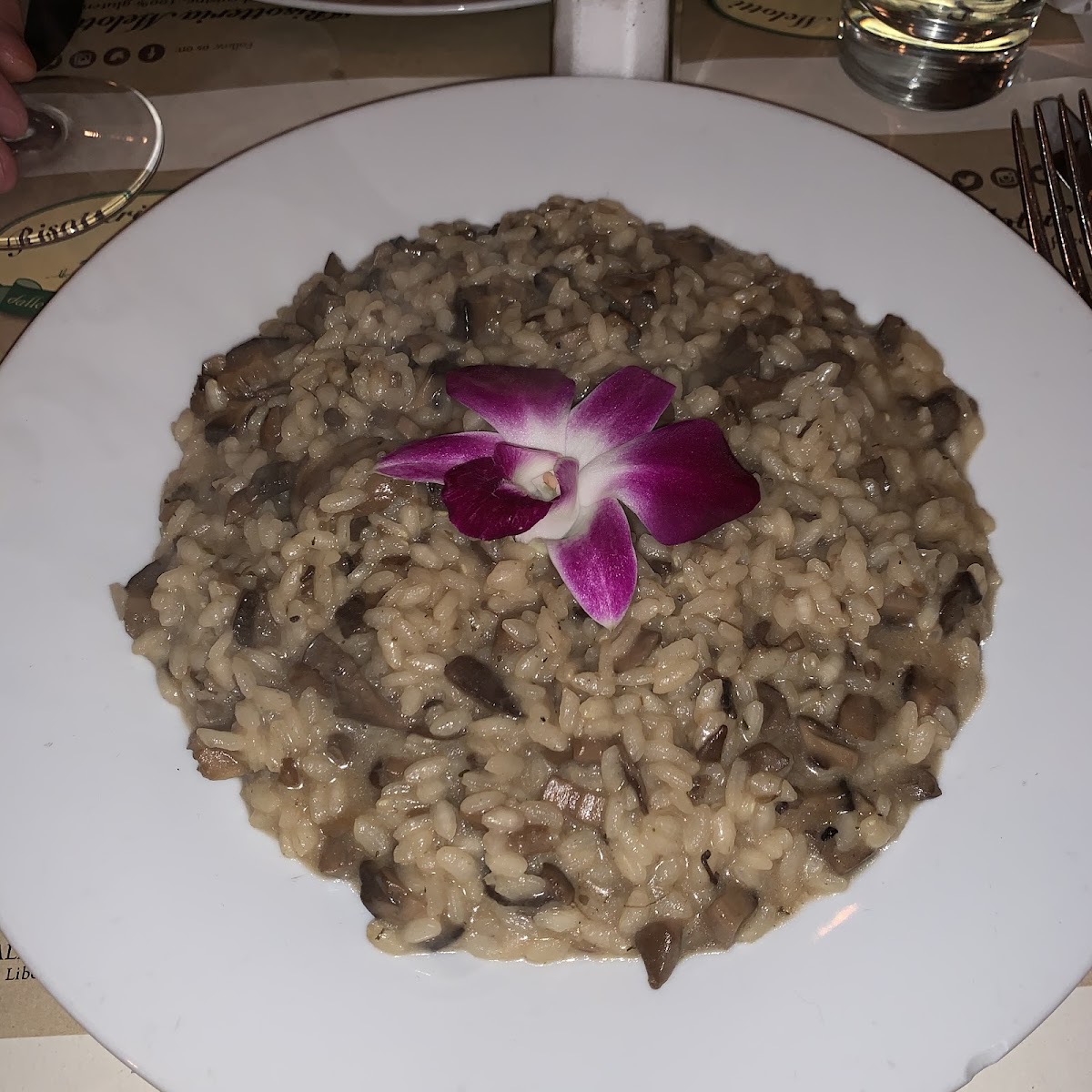 Mushroom Risotto