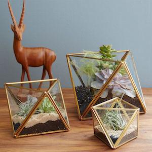 Gold and glass faceted plant terrariums holding air plants and succulents photo