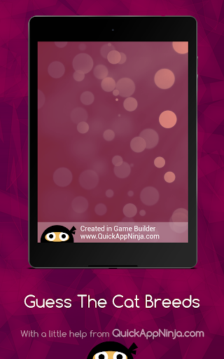 Guess The Cat Breeds