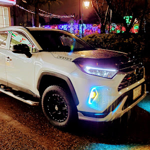 RAV4