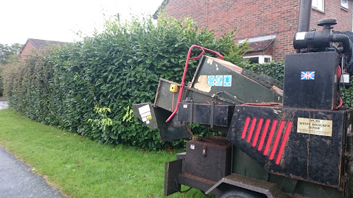 Hedge removal