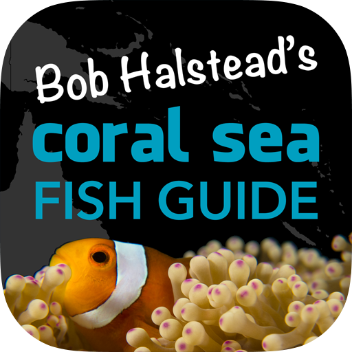 Coral Sea Fish Guide 書籍 App LOGO-APP開箱王