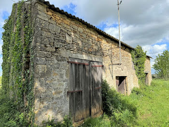 locaux professionnels à Frayssinet-le-Gélat (46)