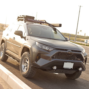 RAV4 MXAA54