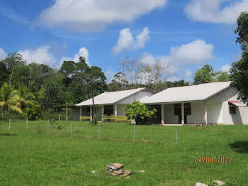 maison à Sinnamary (973)