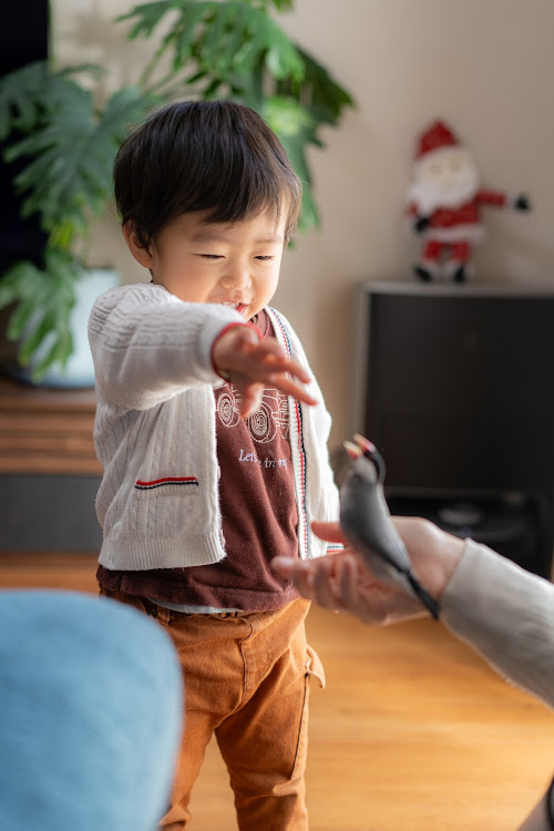 の投稿画像18枚目