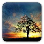 Sunset Hill Free LiveWallpaper Apk