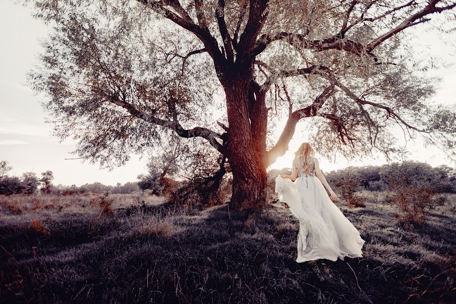 Fotografo di matrimoni Mikhail Aksenov (aksenov). Foto del 10 dicembre 2018