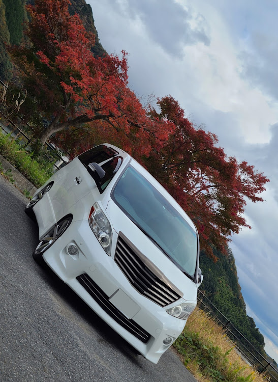 アルファードの愛車の一番好きな角度・秋を求めて・岡山県北ドライブ・奥津湖・グルメドライブに関するカスタム事例の投稿画像13枚目