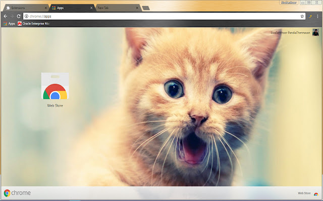 Cute Cat Smiling - Pet Animal chrome extension