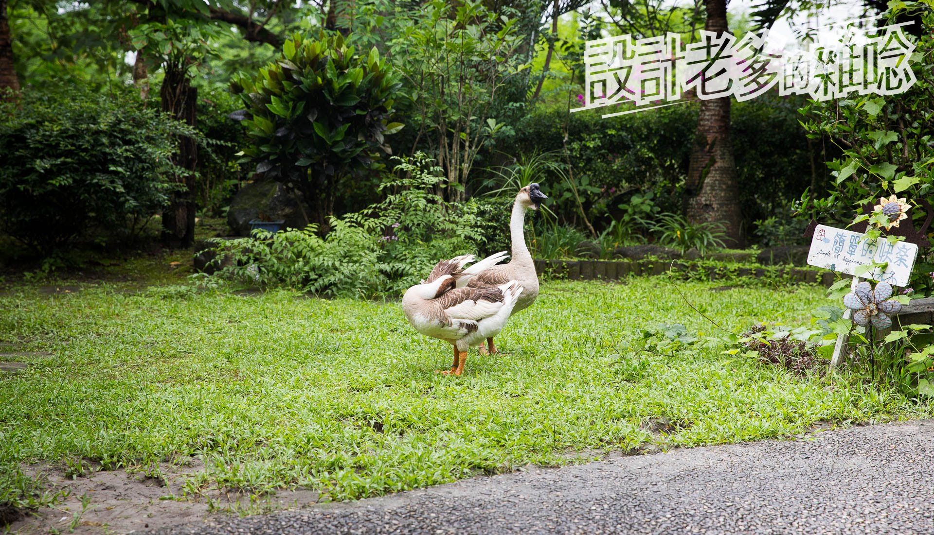 汎水淩山自然手感民宿...感受綠、感受生命、可以野放自己心靈的慢角落