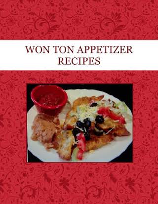 WON TON  APPETIZER RECIPES