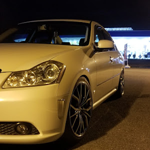 フーガ Y50型