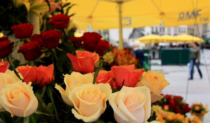 Mercato dei fiori di daviderm