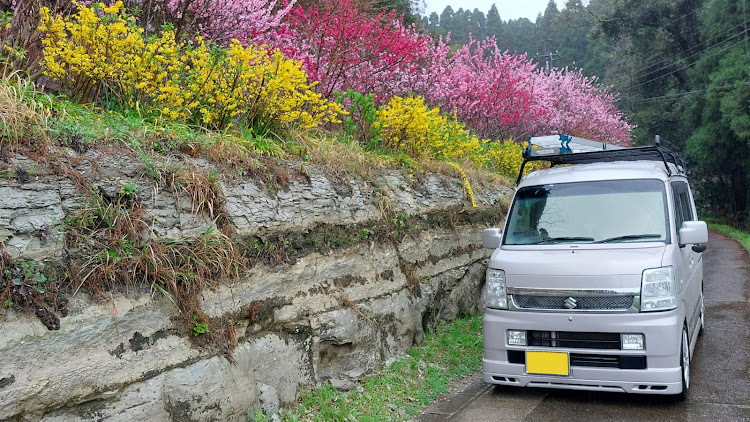 の投稿画像5枚目