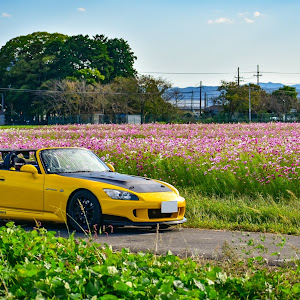 S2000 AP1