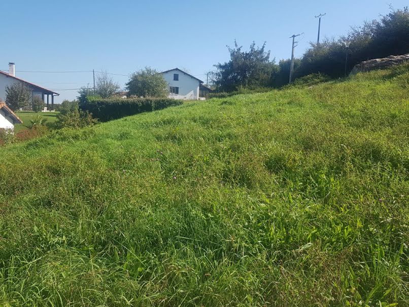 Vente terrain à batir  1000 m² à Saint-Pierre-d'Irube (64990), 297 000 €