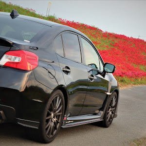 WRX STI VAB