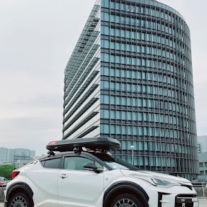 C-HR ZYX11