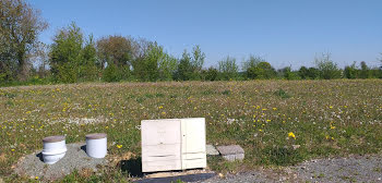 terrain à Saint-Vincent-sur-Jard (85)