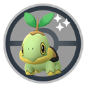 Turtwig