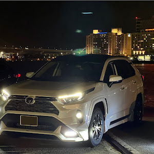 RAV4 AXAH52