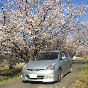 ウィッシュ ZNE10G