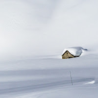 nel bianco di 