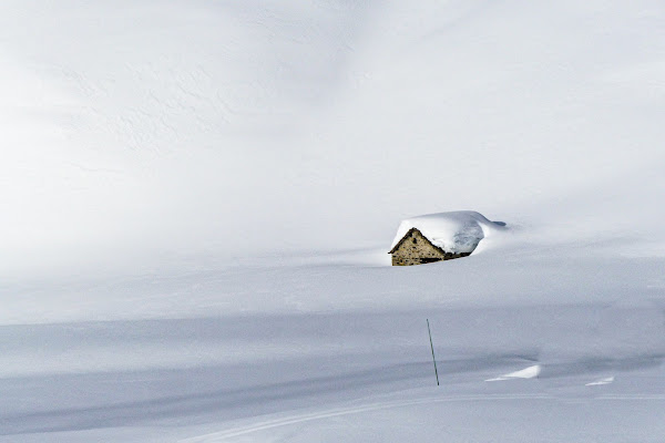 nel bianco di annabarbi