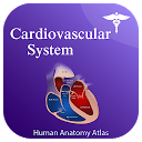 Cardiovascular System Anatomy Atlas (Offline) for firestick