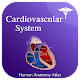 Cardiovascular System Anatomy Atlas (Offline) Download on Windows