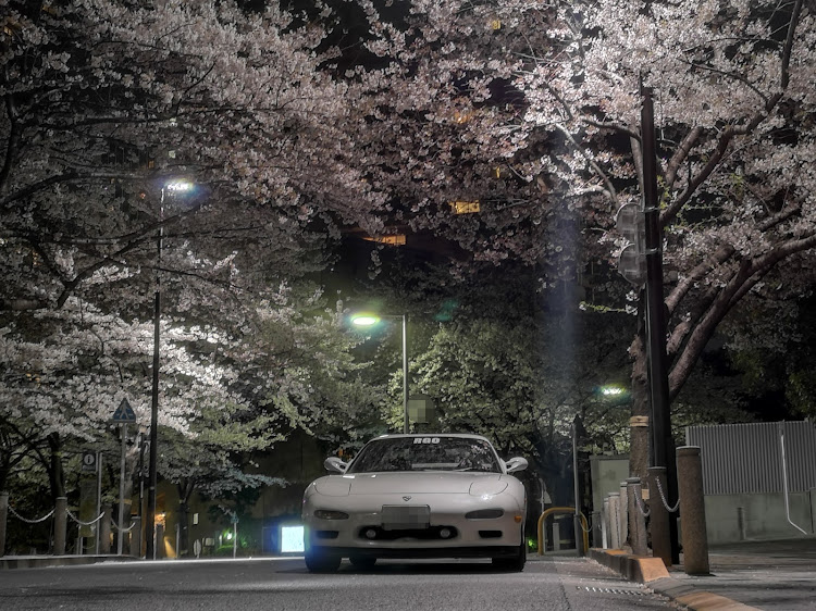 RX-7のさくら🌸・FD3S・夜桜・愛車撮影・首都高ドライブに関するカスタム事例の投稿画像1枚目
