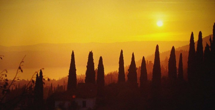 Nebbia dorata di carlo-bi