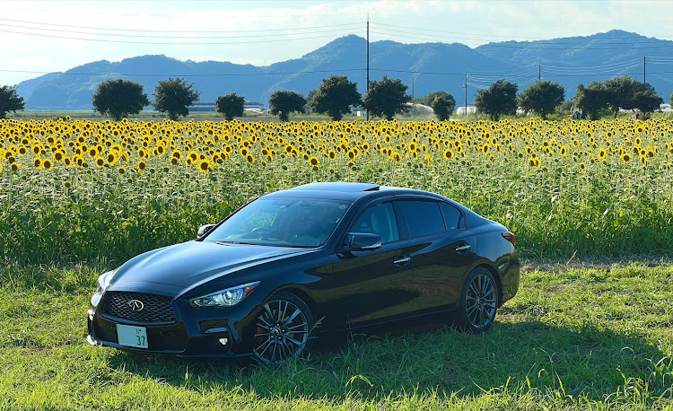 スカイラインのQ50・V37・インフィニティ・ひまわり・笠岡ベイファームに関するカスタム事例の投稿画像1枚目
