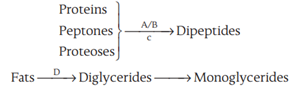 Movements of Alimentary Canal