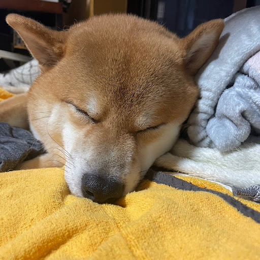 まっちゃん