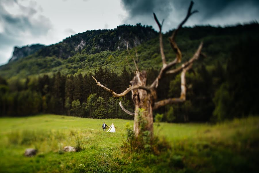 Свадебный фотограф Benjamin Janzen (bennijanzen). Фотография от 30 июля 2015