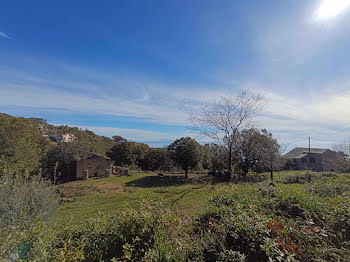 terrain à Bastia (2B)