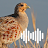 Partridge Hunting Calls icon