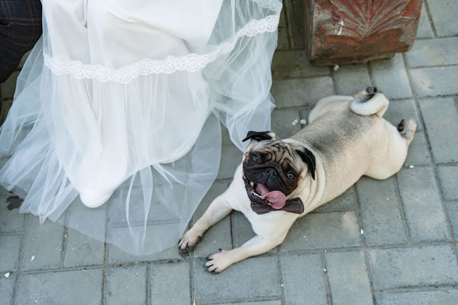 Photographe de mariage Pavel Girin (pavelgirin). Photo du 1 juin 2022