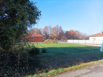 terrain à Montauban (82)