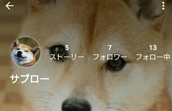 妹のフォローお願いします