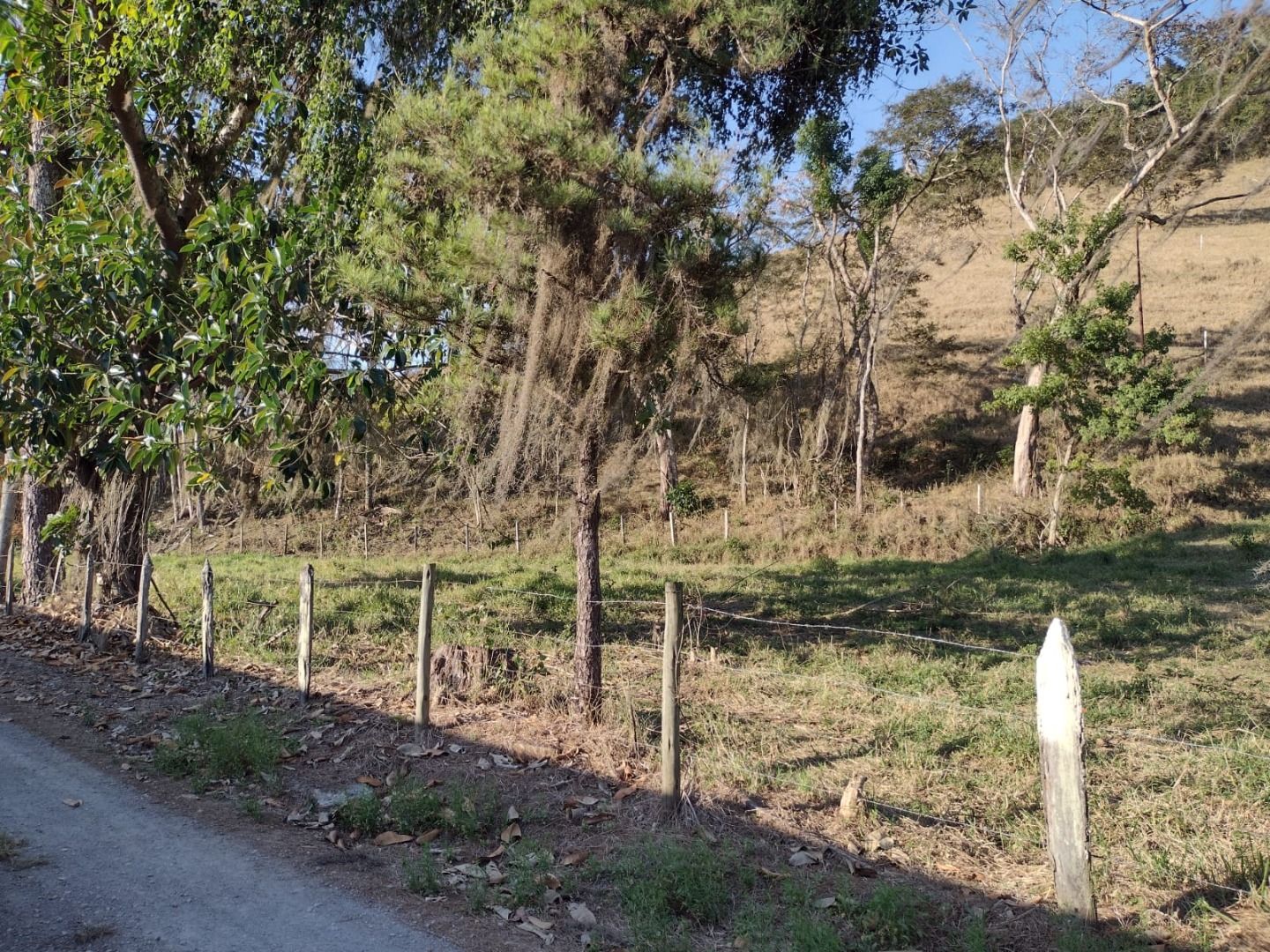 Terrenos à venda Vila Rica