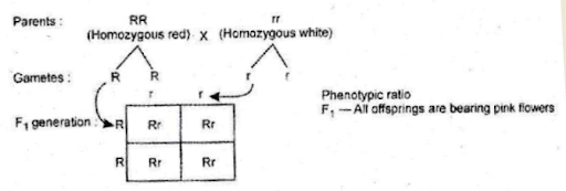 Solution Image