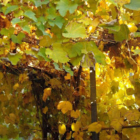 Autunno: giallo d'autore di 