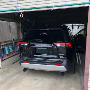 RAV4 MXAA54