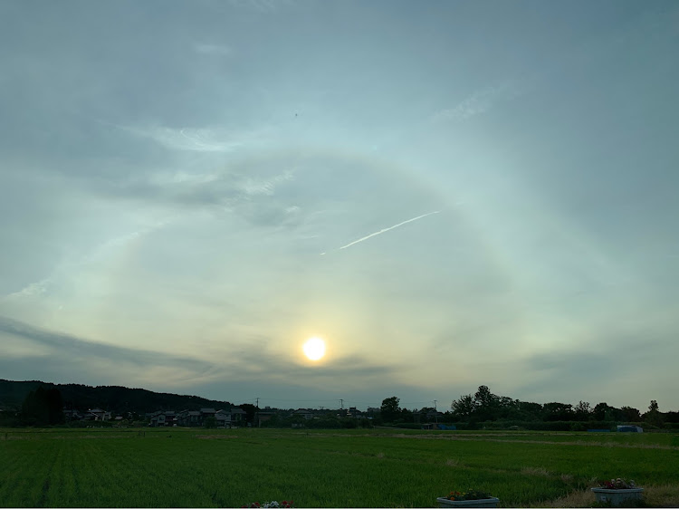 タントカスタムのお日様とたんとさん・#女性オーナー・写真ヘタクソ・しぃたんと・梅雨明けまだかに関するカスタム事例の投稿画像2枚目